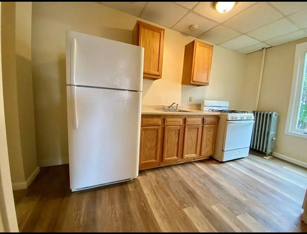 1 bed, 500 sqft, $1,250 — Photo 1