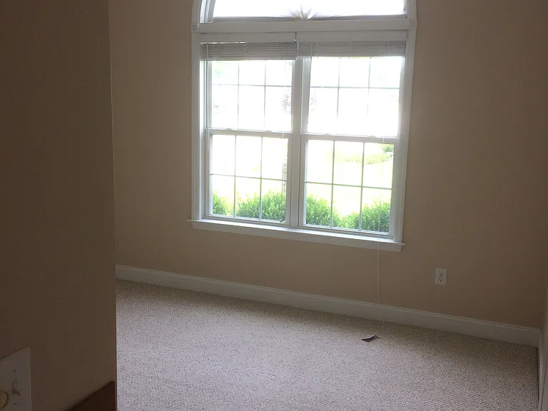 112 Shady Side Ln — Photo 17