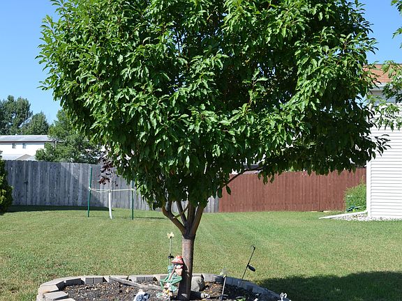 4th image of 1446 Sheyenne Park Ct