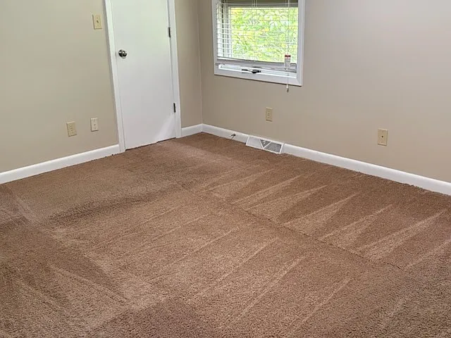 24 Culbreth Ave — Photo 9