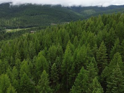 318 Lone Star Trl, Kalispell, MT, 59901