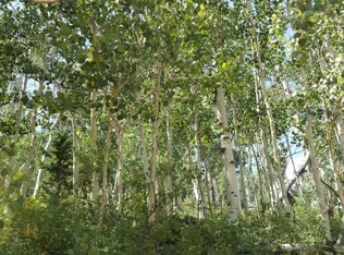 462 W Ski View Dr, Brian Head, UT 84719