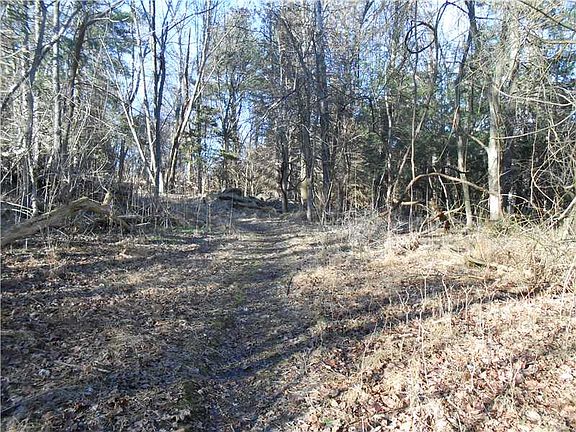 4th image of Pelipetz Valleybrook