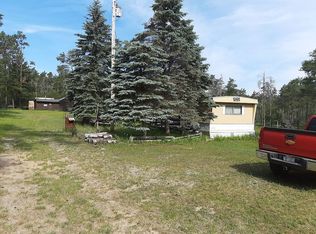 3050 S Stephan Bridge Rd, Grayling, MI 49738