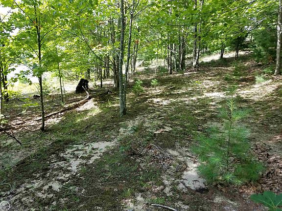 3rd image of S Fritz Rd