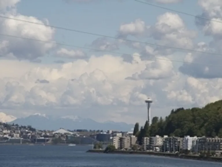 Alki Shores Apartments — Photo 13