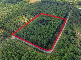 2 Wild Cur Rd LOT 100, Pierson, FL 32180