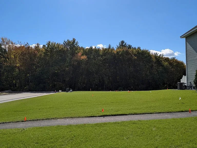 Rose Meadows — Photo 16