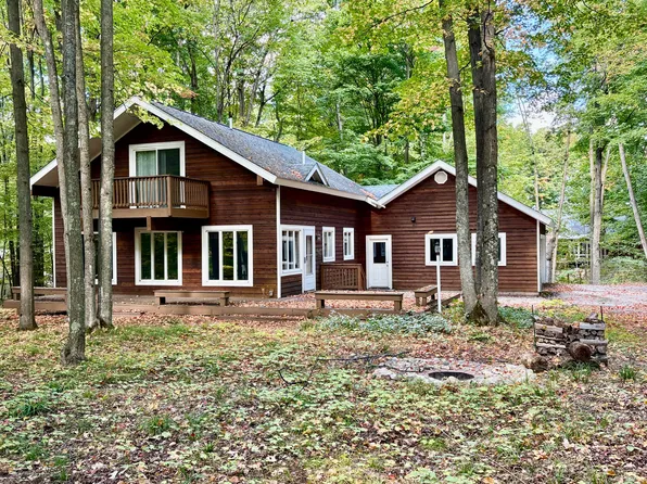 4483 Ridge Run Rd, Bellaire, MI 49615