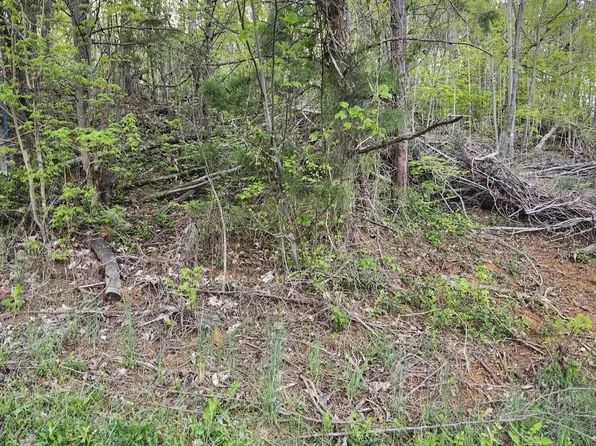 0 NE Lot #2, New Market, TN 37820