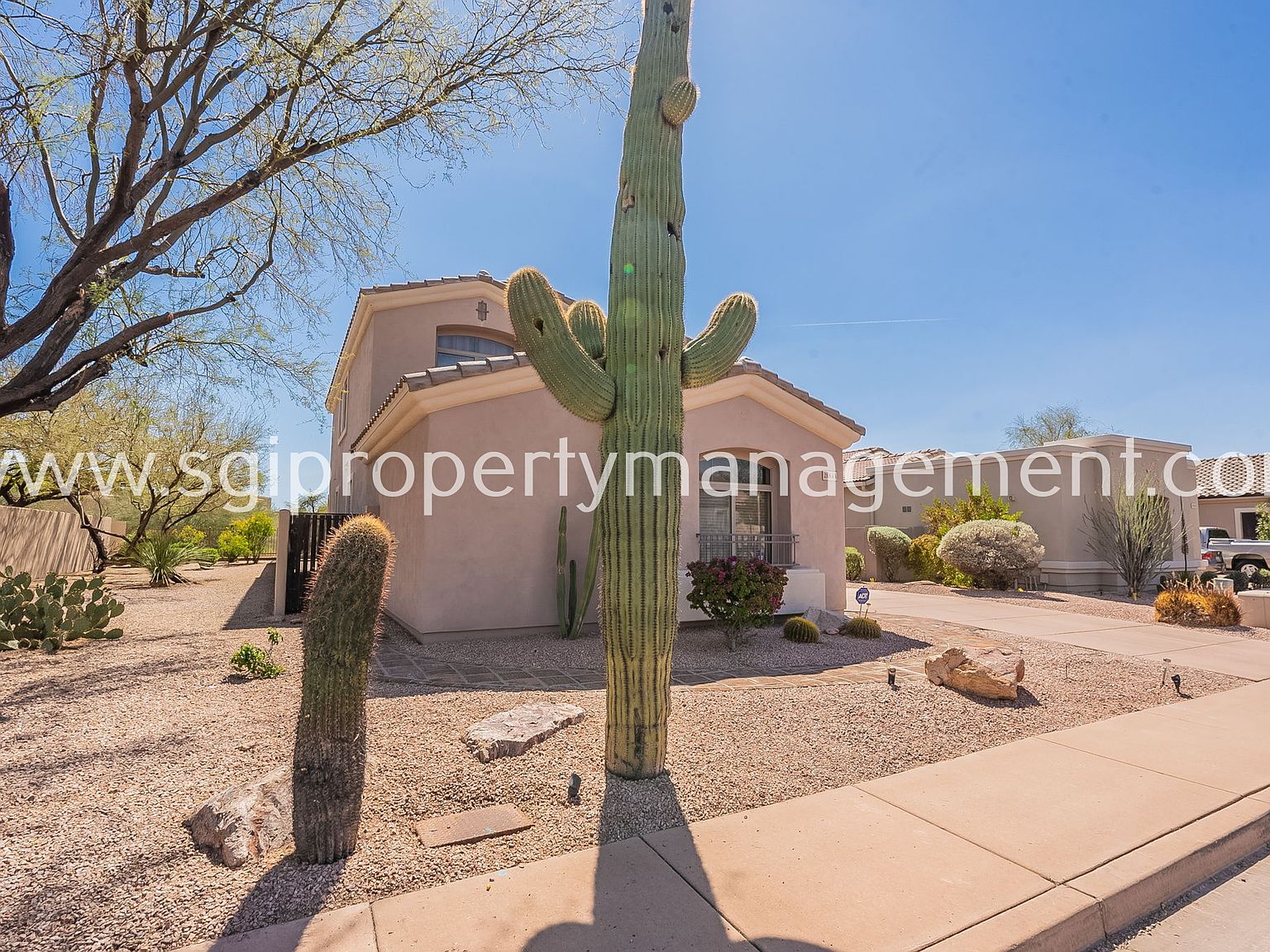 190377f224d206d7dc9966bfcbe170