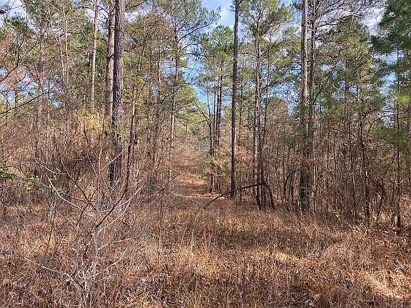 5th image of Tbd Broken Bow Rd