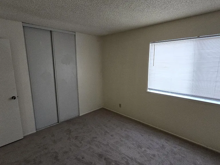 27703 Persimmon Dr — Photo 14