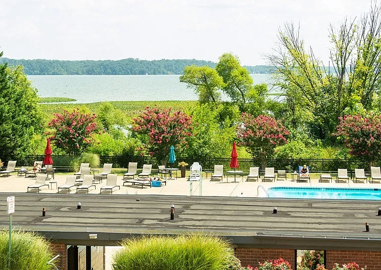 Rooftop pool with scenic waterfront backdrop