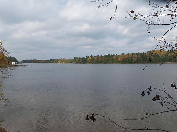 3rd image of 2528 Stillwaters Lane 0.66 Acre
