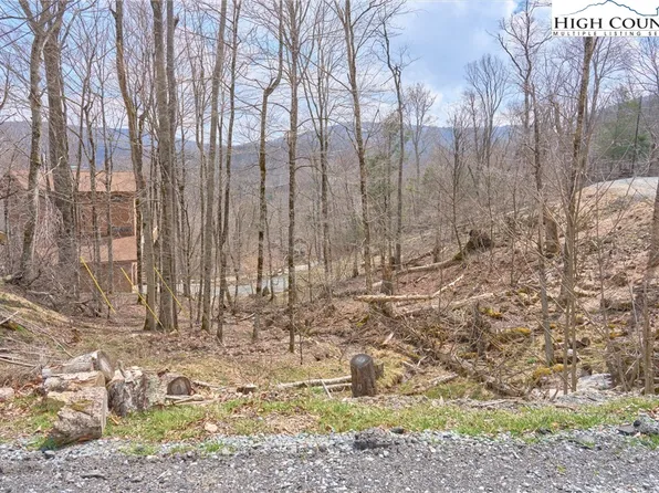 101 Foxgrape Hollow Road, Beech Mountain, NC 28604