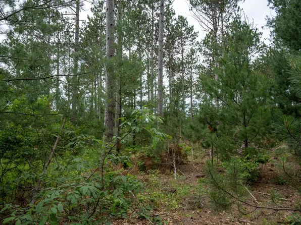 Lot 1 Bollig Court #1, Nekoosa, WI 54457