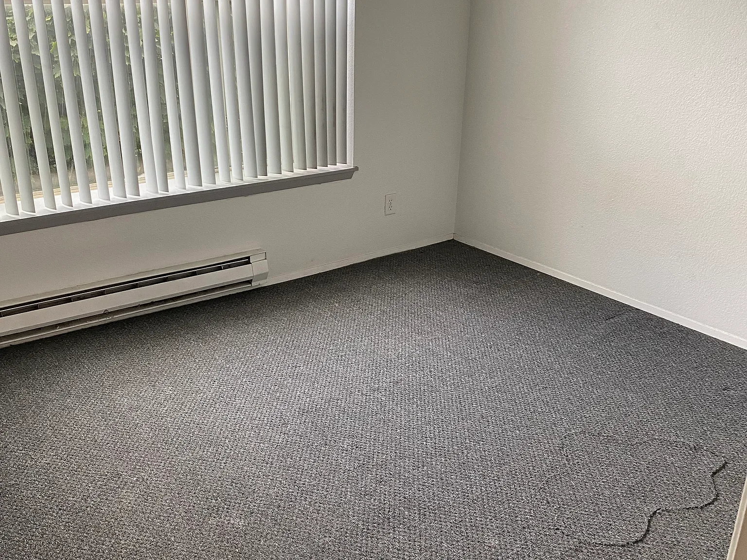 1 bed, 600 sqft, $1,400 — Photo 1