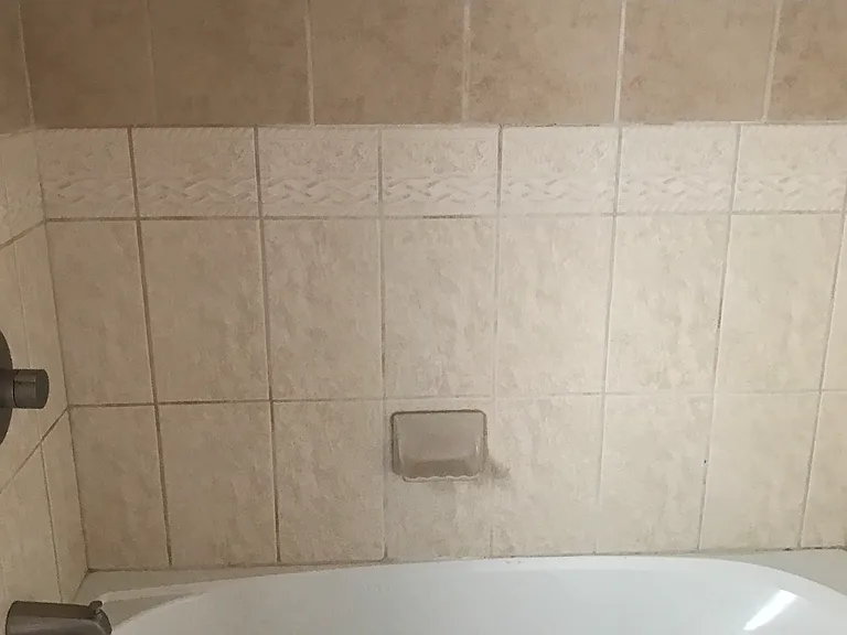 Main bathroom shower/tub