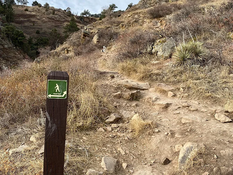Trail leads up to Goat Trail up to Mt. Sanitas.