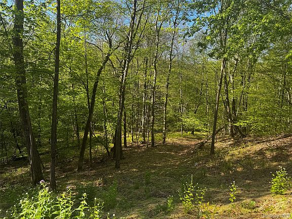 5th image of Hall Hill Road