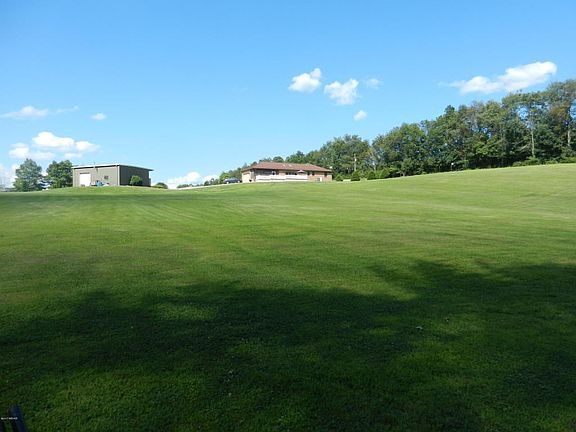 view from edge of woods
