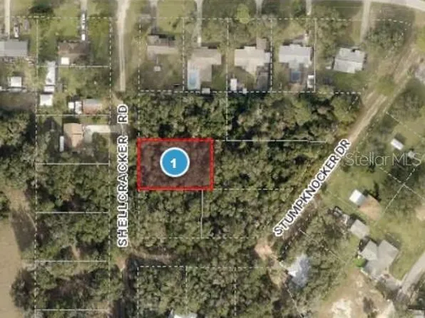 Stumpknocker Dr Lot 3600, Fruitland Park, FL 34731