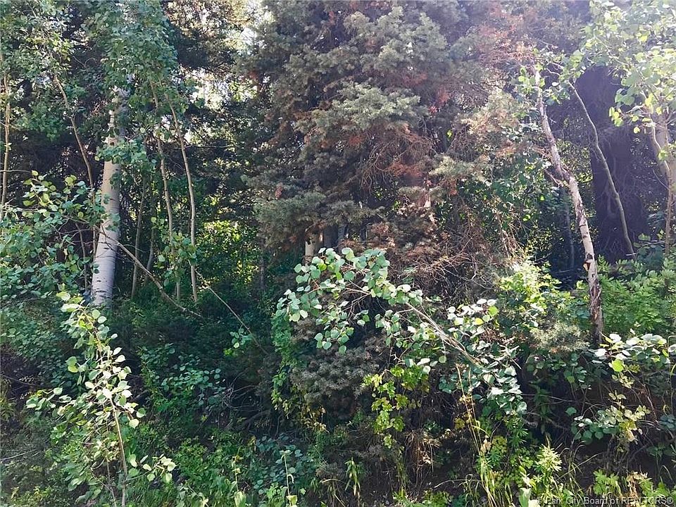 2102 Uintah View Dr, Wanship, UT 84017 Zillow