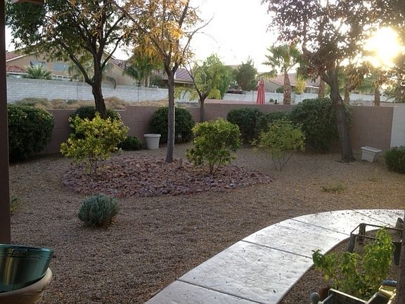 Large backyard