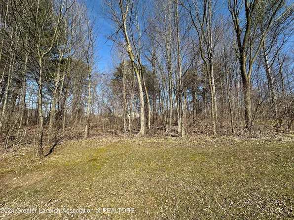 0 S Us Highway 27, Dewitt, MI 48820