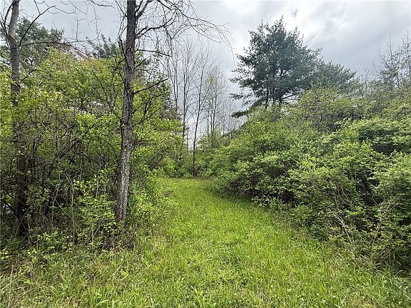 5th image of Caswell Rd Lot 22