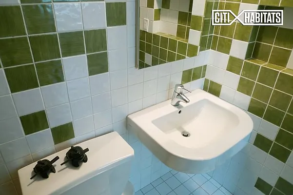 Rented by Citi Habitats | media 6