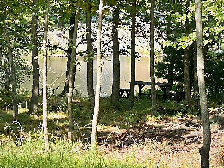 434 Wild Acres Dr — Photo 11