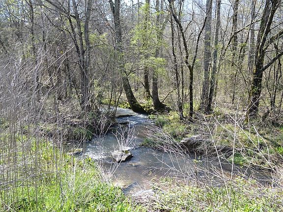 5th image of 0 Turner Ln NE #12