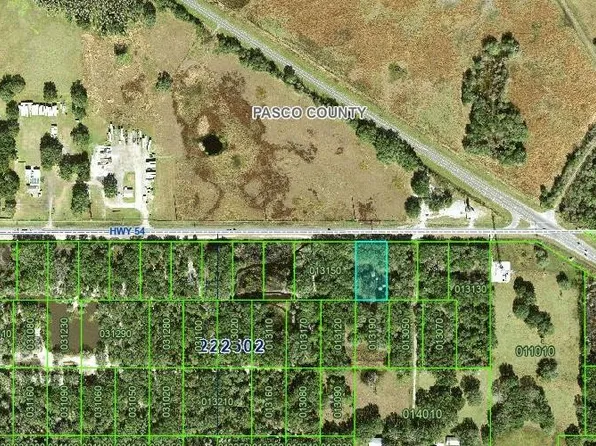 Highway 54 Lot 18, Kathleen, FL 33849