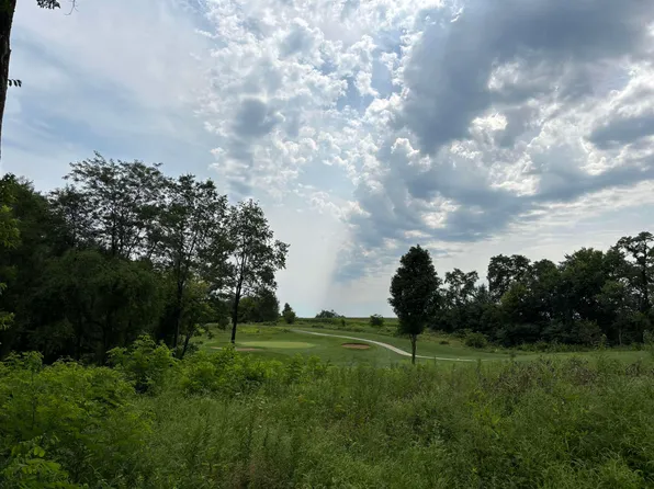 3 E Golf View Dr #Phase Ii, Galena, IL 61036