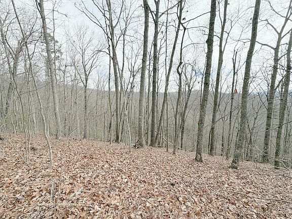 5th image of 0 Grouse Ridge Rd