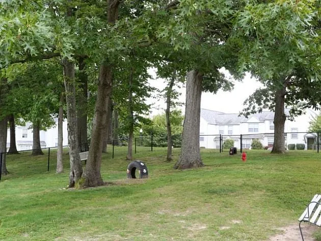 Perkins Place — Photo 20