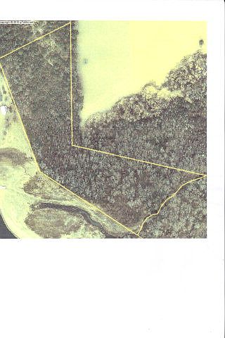 1st image of 00 None