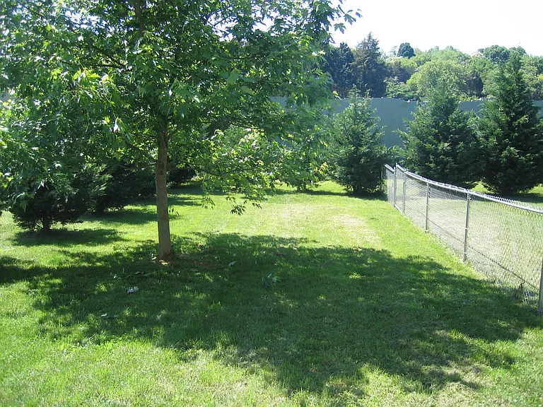1417 Burgess Ln #B — Photo 2