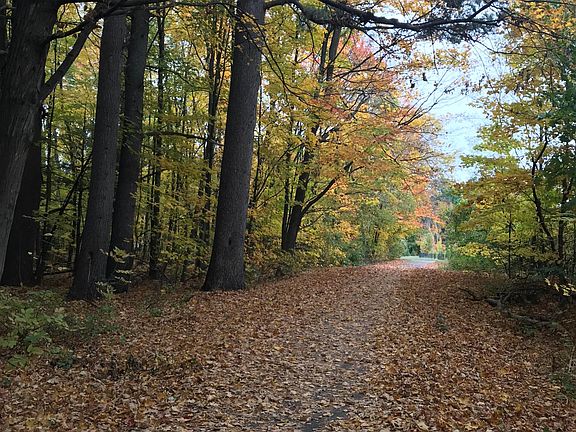 Access to forest bike trail