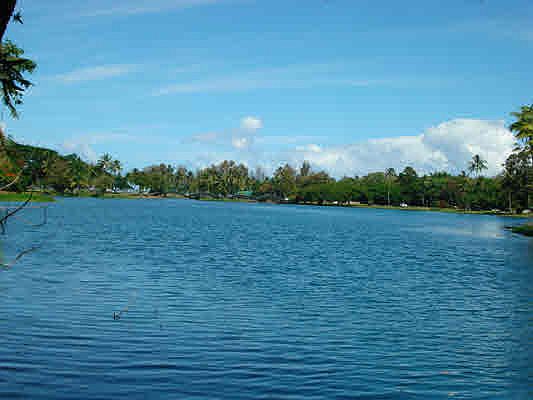 3rd image of 265C Kekuanaoa St Lot 7