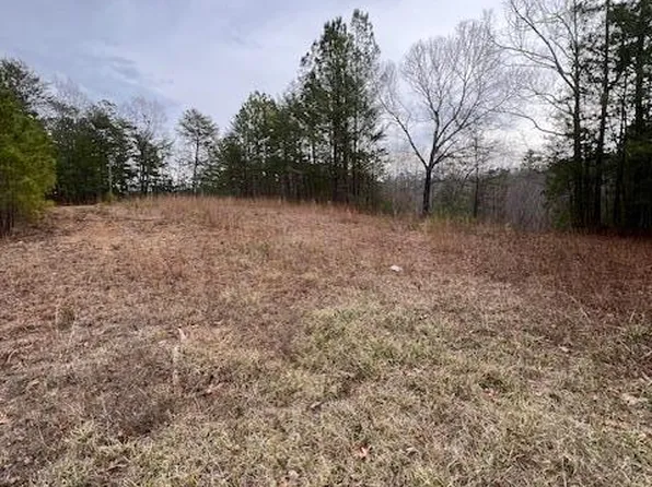 State Highway 5, Lynn, AL 35575