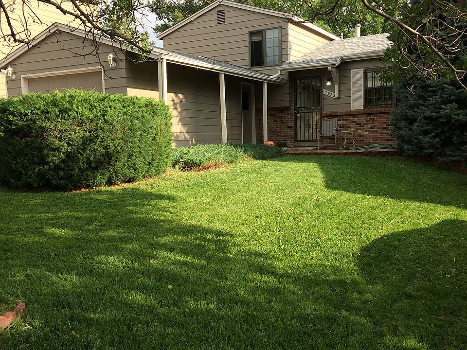Front yard