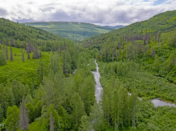 0 McWilliams Gold Creek Trl, Talkeetna, AK 99676