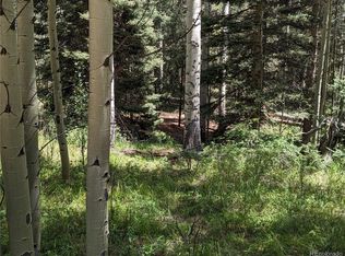 5854 Slegers Rd, Fort Garland, CO 81133