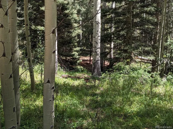 5854 Slegers Road, Fort Garland, CO 81133
