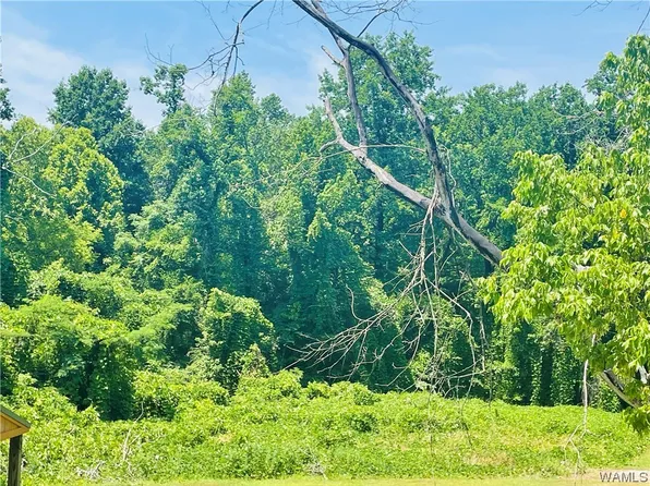 0 Coke Ave N, Tuscaloosa, AL 35404