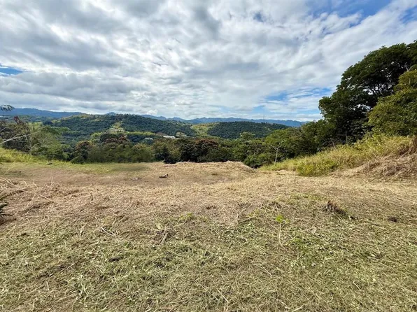 Sector Campo Bello, Cidra, PR 00739