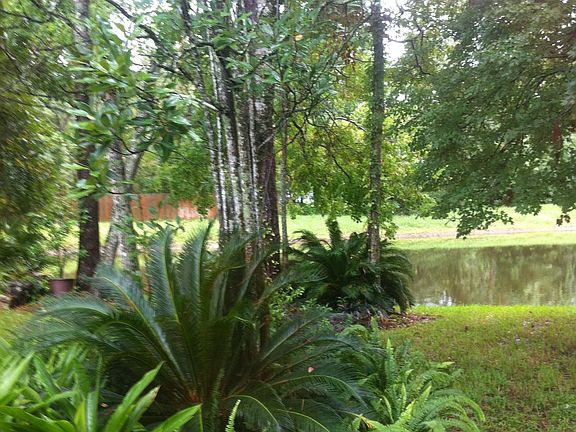 View of pond